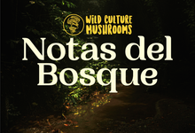 Cargar imagen en el visor de la galería, Notas del Bosque Vol. 3 - Angie Torres Franqui