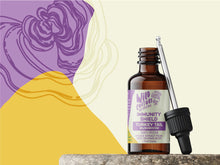 Load image into Gallery viewer, Turkey Tail Mushroom Extract