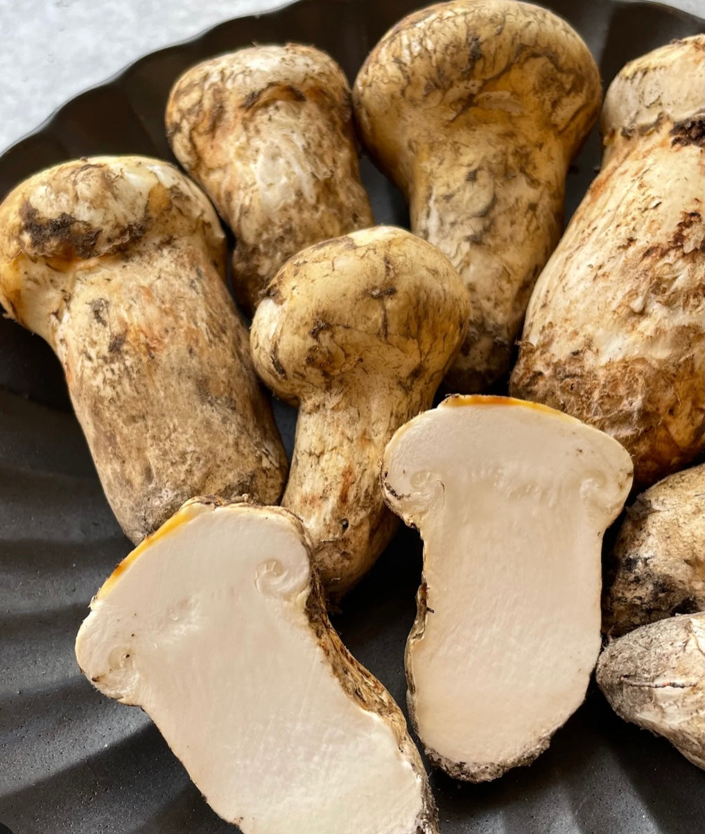 3 oz Dried Pine (Matsutake) Mushrooms Wild Culture Mushrooms