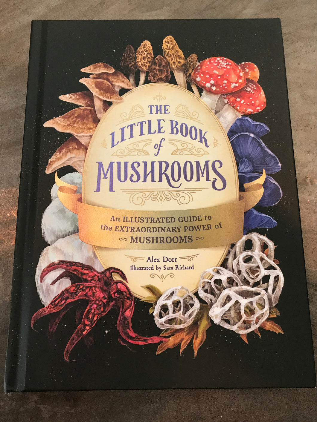 The Little Book of Mushrooms: An Illustrated Guide to the Extraordinary power of Mushrooms
