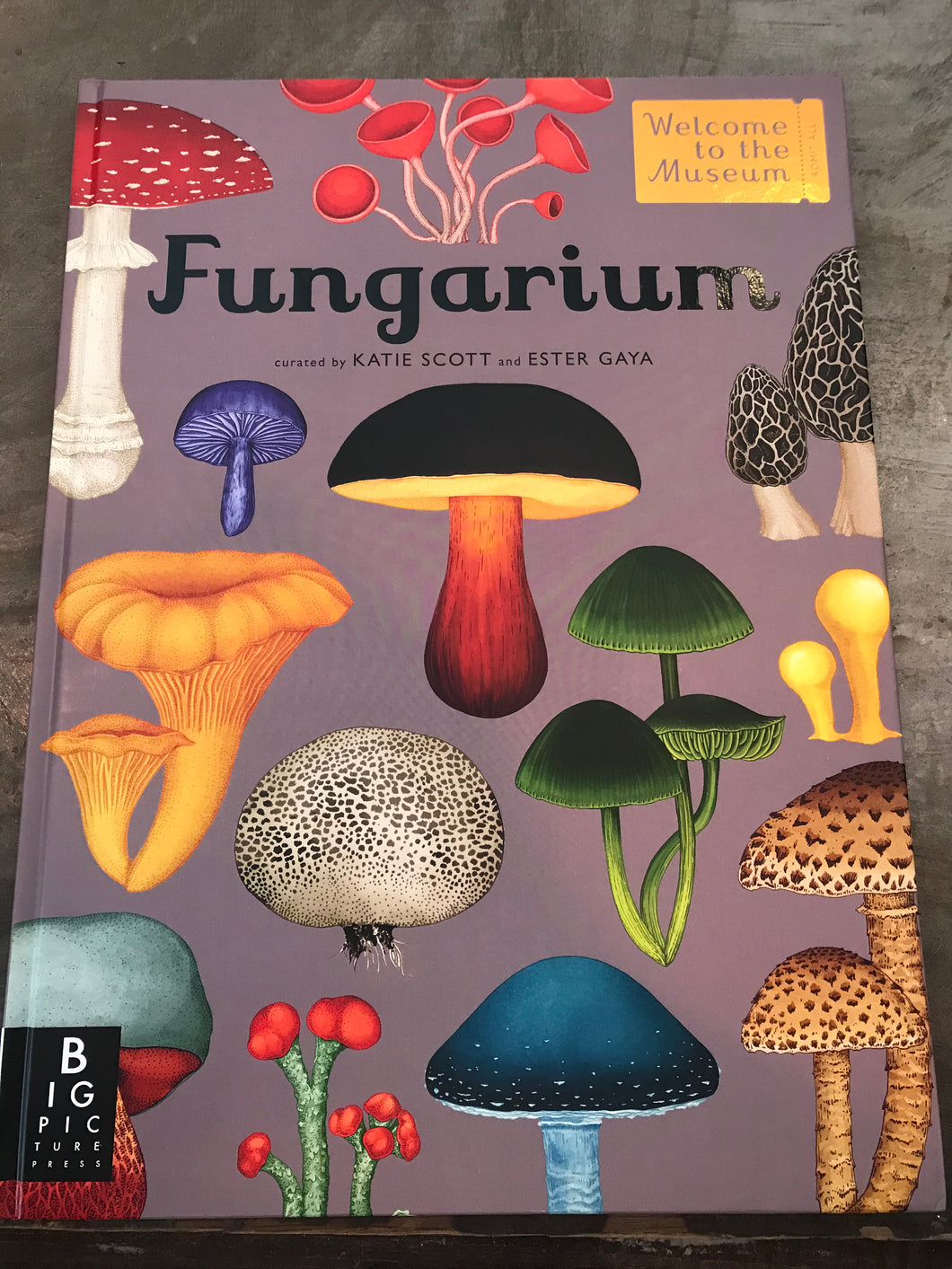 Fungarium Kids Book