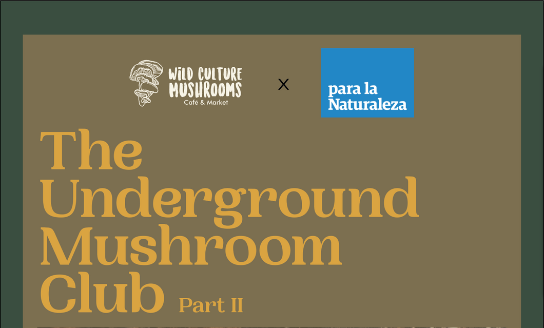Underground Mushroom Club Part 2 - El Yunque