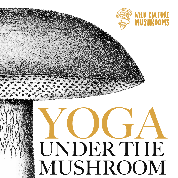 Yoga Under the Mushroom