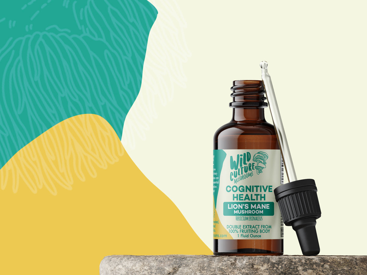 Lion's Mane Mushroom Extract