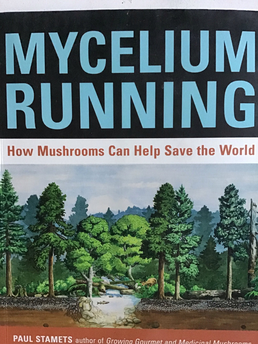 Mycelium running Book